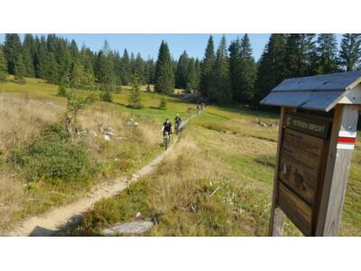 Firmenausflug nach Buchwald