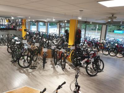 Radsport Riedl -Leirer