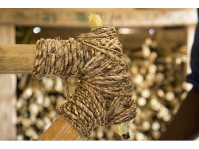 Nachhaltig. Sozial. Einzigartig