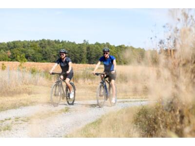 Bikefitting für Alltagsfahrer:innen