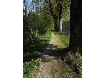 Testfahrt Haibike Sduro Hardseven life 3.0