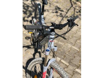 Testfahrt Haibike Sduro Hardseven life 3.0