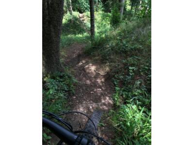 Tour und Test mit dem Haibike XDURO AllMtn 2.0