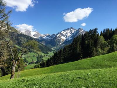 Wunderbare Tour mit dem Haibike SDURO FullSeven LT 8.0