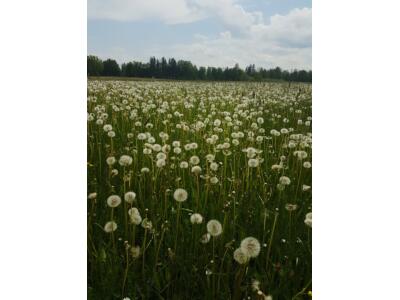 Tour und Test vom Haibike SDURO FullSeven LT 6.0