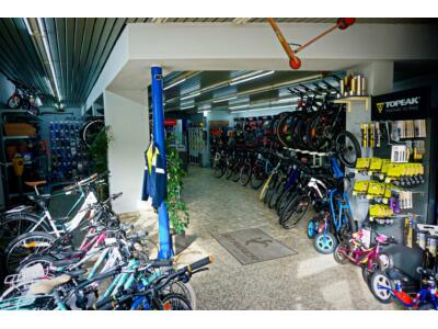 Fahrradhändler und Service seit 1981