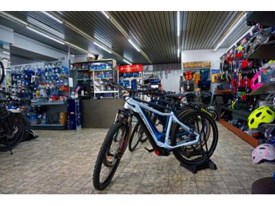 Fahrradhändler und Service seit 1981