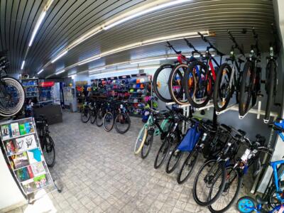 Fahrradhändler und Service seit 1981