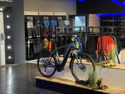 FAHRRADWELT International