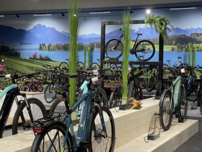 FAHRRADWELT International