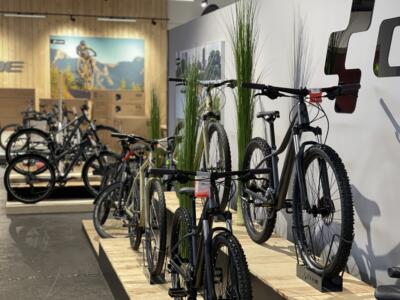 FAHRRADWELT International