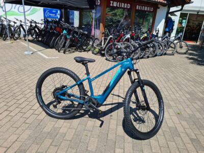 Große Auswahl an E-MTB´s