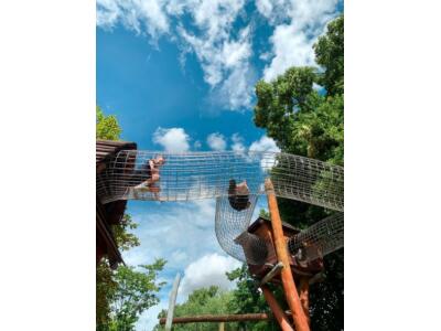 Alla Hopp Anlage Ketsch