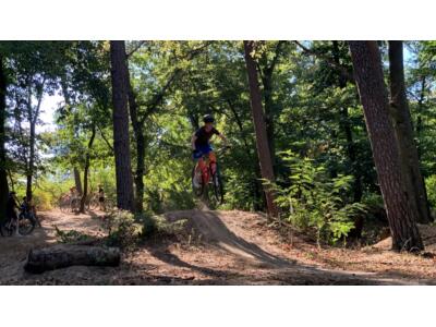 Friedrichsfelder Wald