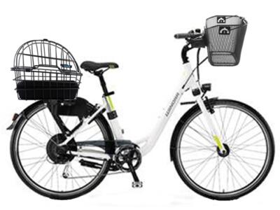 Cityrad 28" Comfort mit Hundekorb