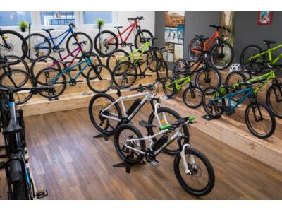 Willkommen bei Zweirad Lämmle