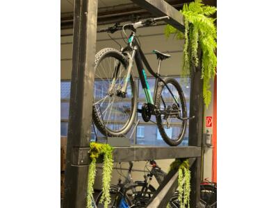 FAHRRADWELT International