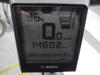 Pedelec mit Bosch CX Antrieb