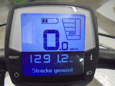 Trekking Pedelec Bosch CX Antrieb