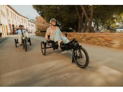 HASE Fotos in der Galerie