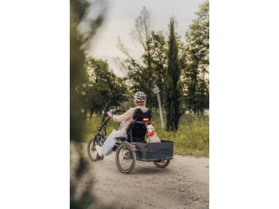 HASE Fotos in der Galerie