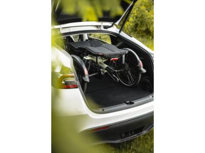 HASE Fotos in der Galerie