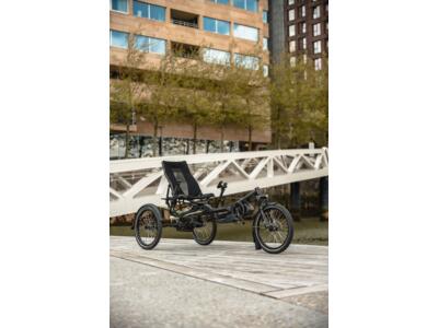 HASE Fotos in der Galerie