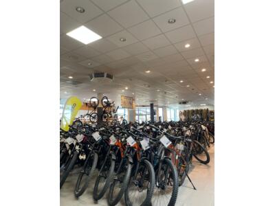 Herzlich Willkommen bei  "alles ums rad" Zweirad Sport Fiedler