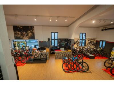 Unser Ausstellungsraum