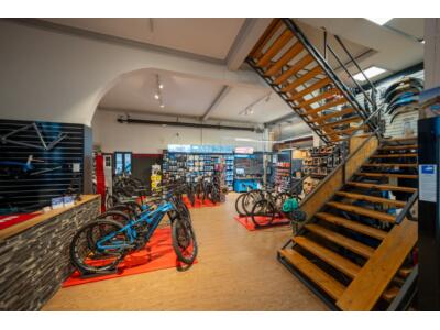 Unser Ausstellungsraum