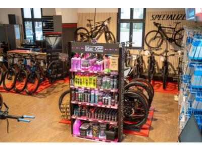 Unser Ausstellungsraum