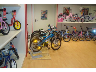 Größte Kinder-Anhänger Auswahl