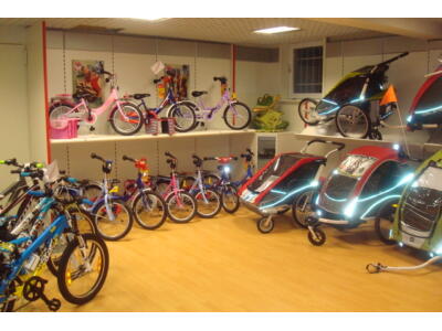 Größte Kinder-Anhänger Auswahl