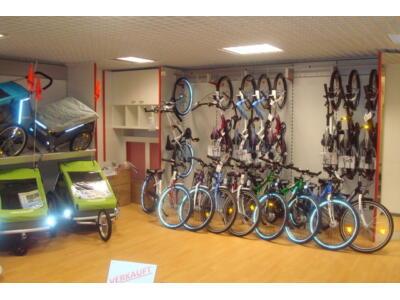 Größte Kinder-Anhänger Auswahl