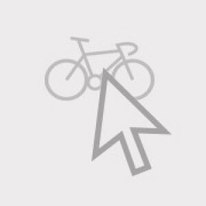Bikescan