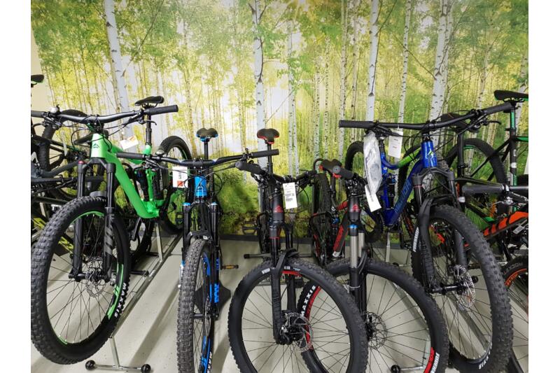 Unsere MtBs
