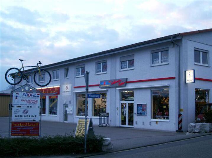 Alles begann Anfang 1993...