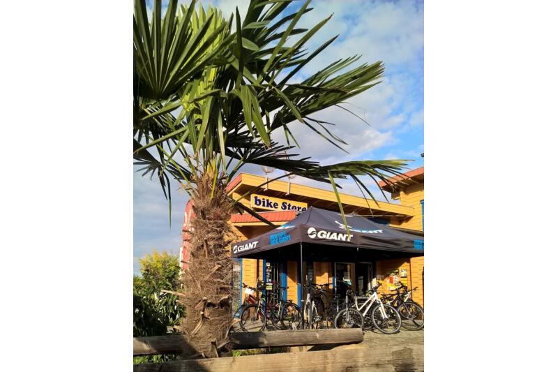 Bike Store unter Palmen mit Giant