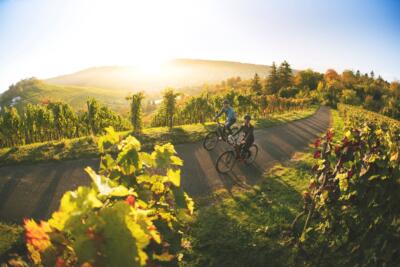 SUV E- Bikes - Sport Utility Vehicle (Sportgebrauchsfahrzeug)