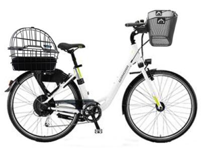Cityrad 28" Comfort mit Hundekorb