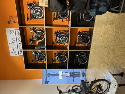 Unsere Falträder im Überblick