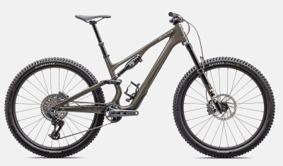 Specialized Stumpjumper 15 Expert