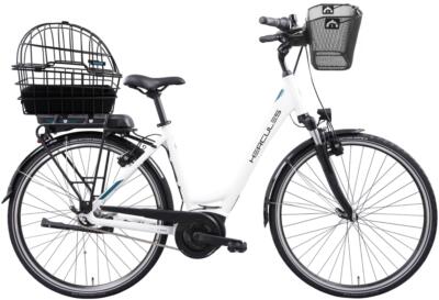 E-BIKE 28" mit Hundekorb
