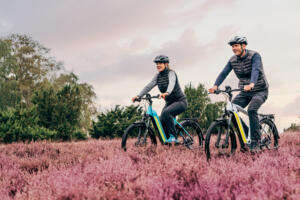 Frühjahres-Aktionen 2026