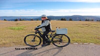 Mit dem Hai auf dem Feldberg