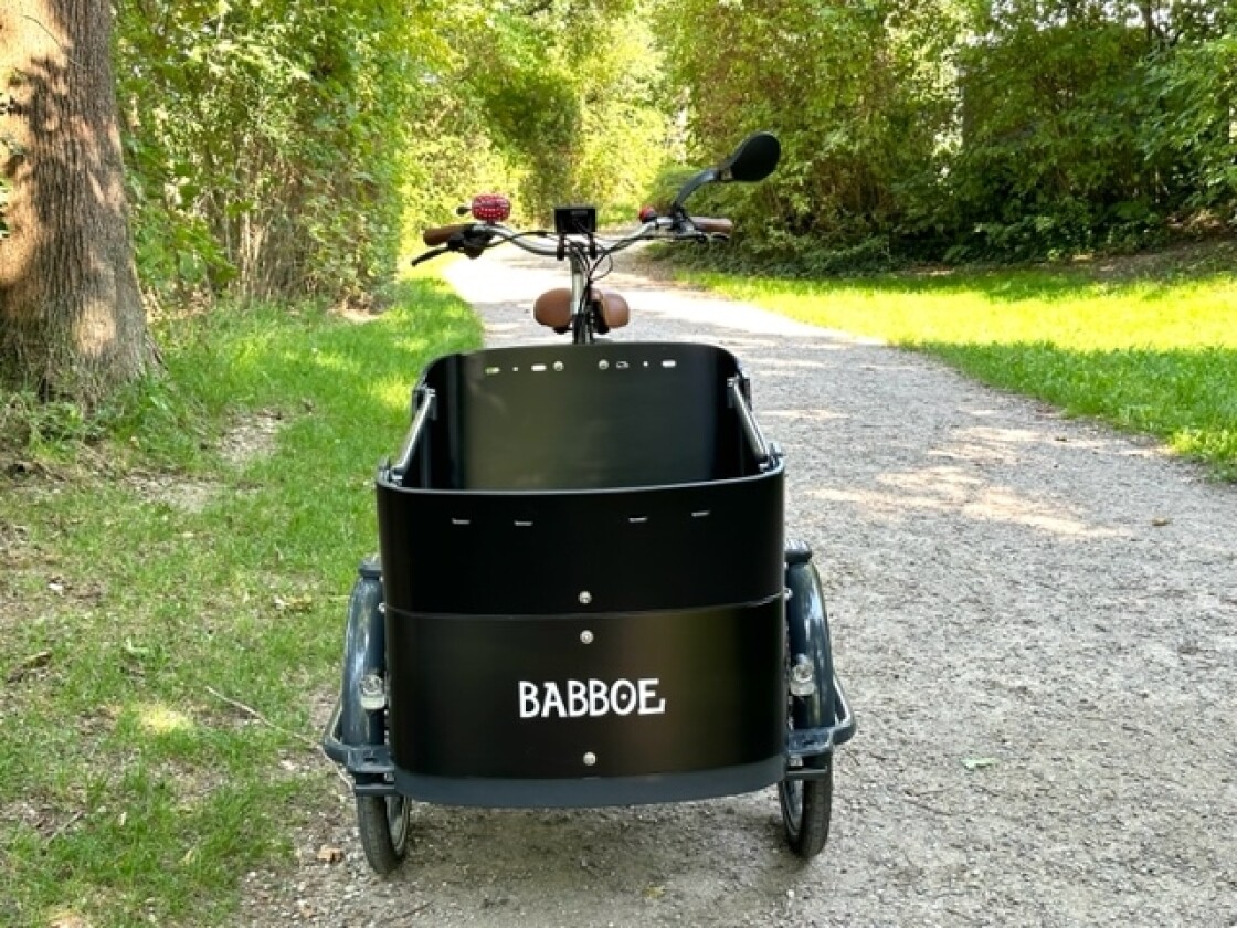 Babboe  Vorführrad Babboe Curve-E
