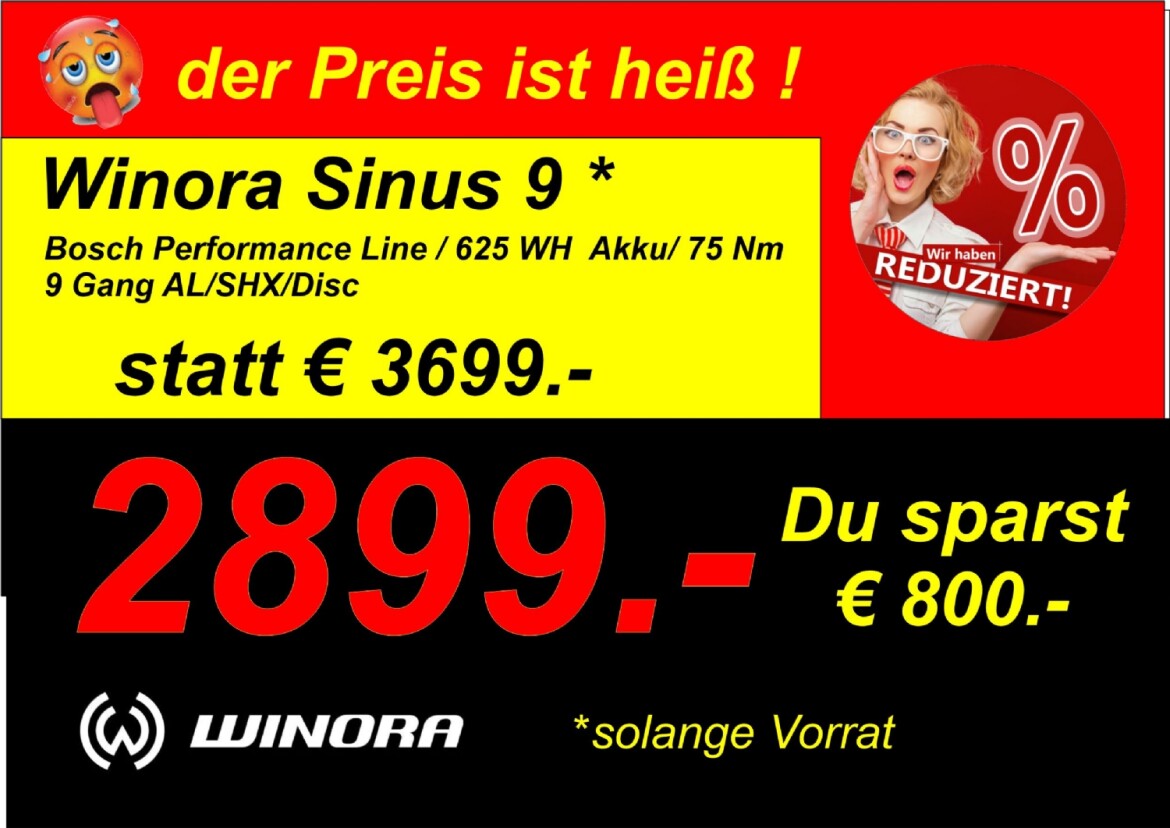 Winora Sinus 9 Trekking He 24