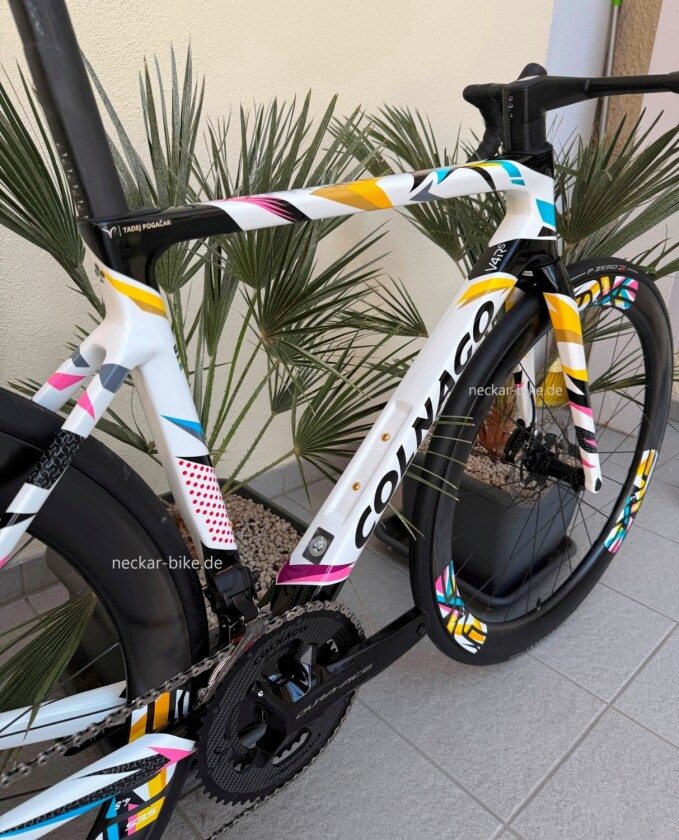 Colnago V4Rs Tadej Limited Edtion - ausverkauft