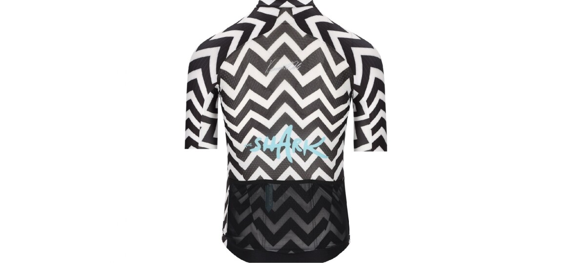 Q36.5 Gregarius Clima Nibali Shark