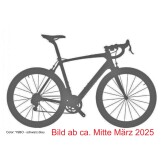 YSBO ab 03-2025